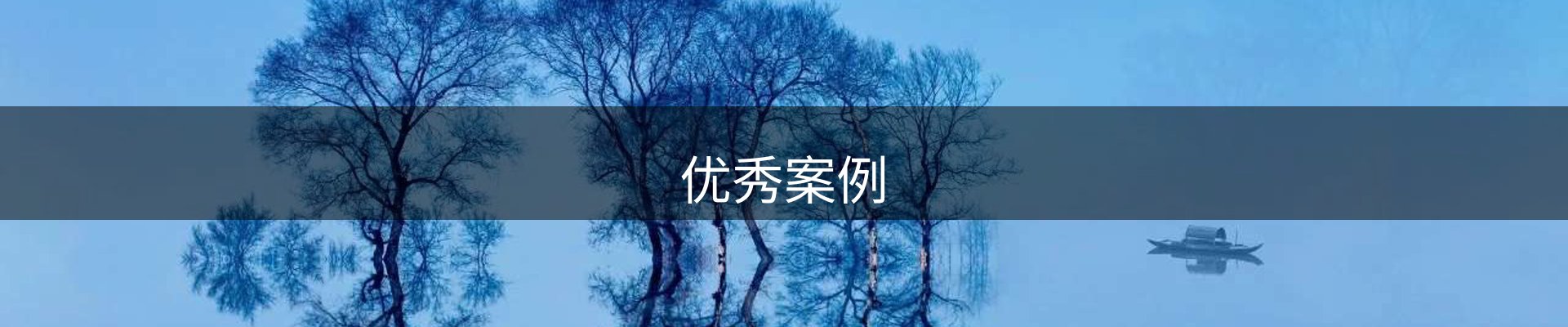 优秀案例