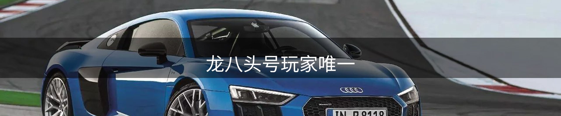龙八(头号玩家)唯一官方网站